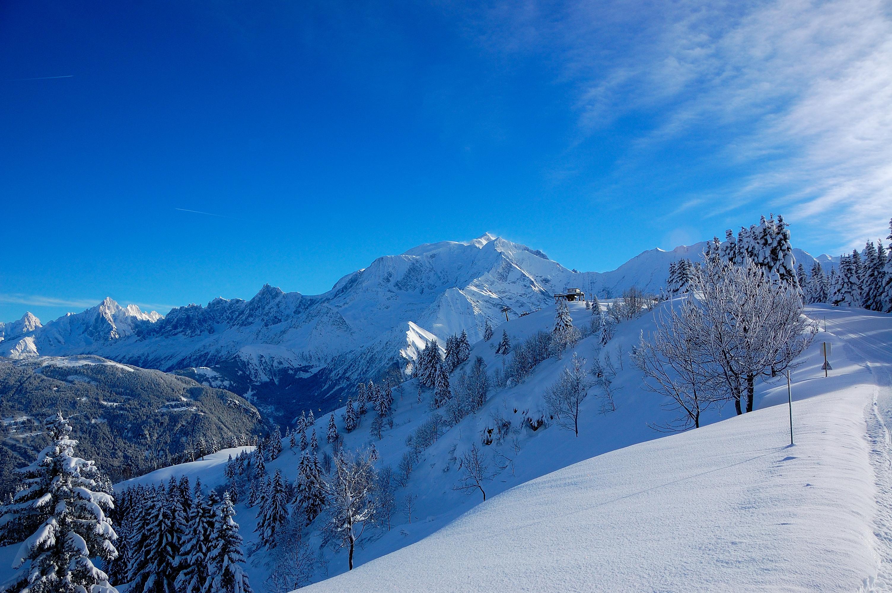 Snowy tree lined landscape of French Alps